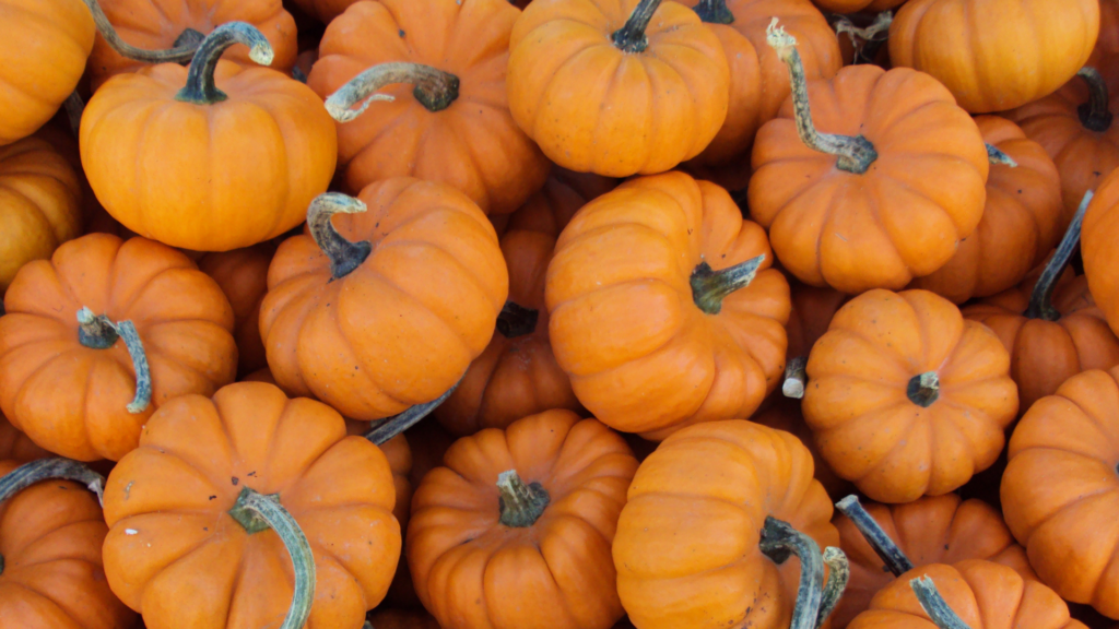 halloween ecommerce sales